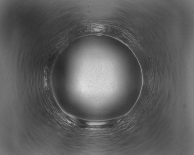 X0000084551442200702231152