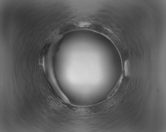 X0000084551443200702231152