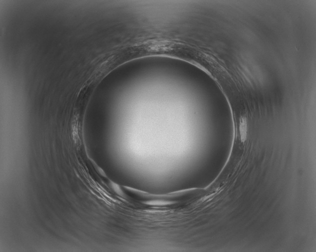 X0000084551444200702231152
