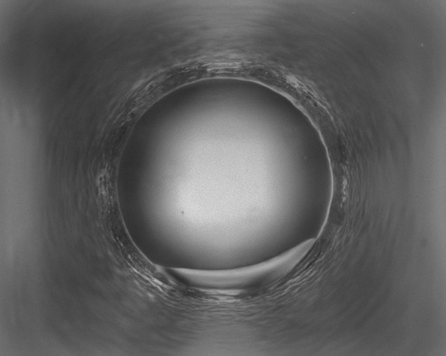 X0000084551445200702231152