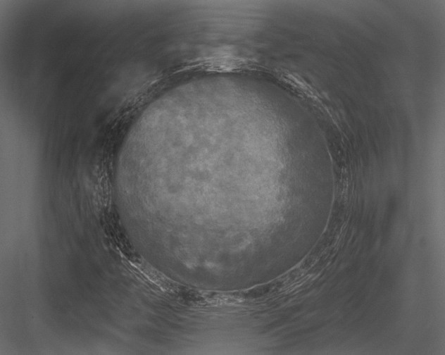 X0000084551446200702231152