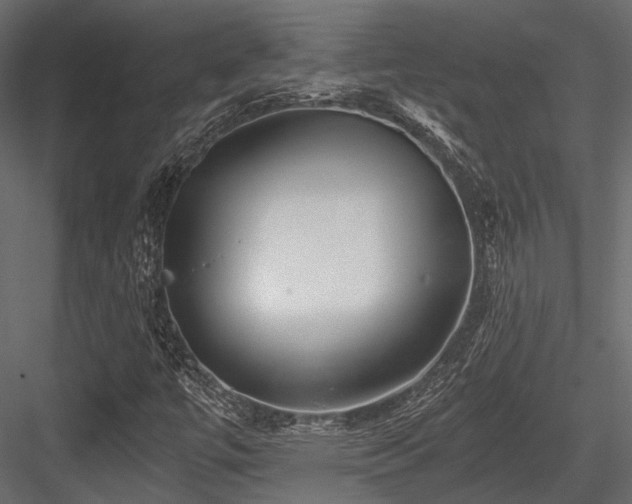 X0000084551447200702231152