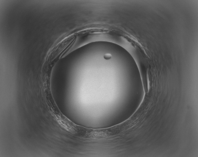 X0000084551448200702231152