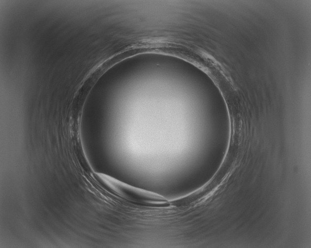 X0000084551449200702231152