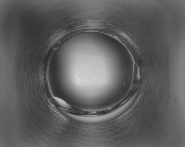 X0000084551450200702231152