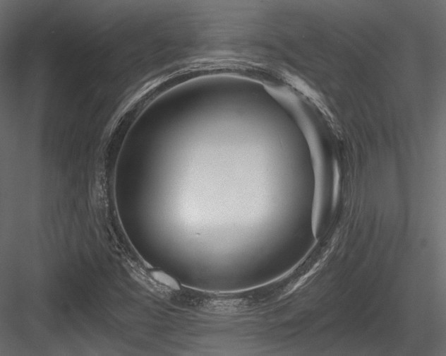 X0000084551453200702231152