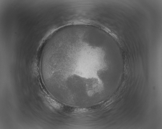 X0000084551454200702231152