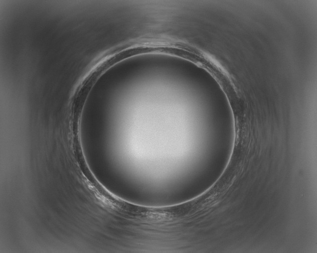 X0000084551456200702231152