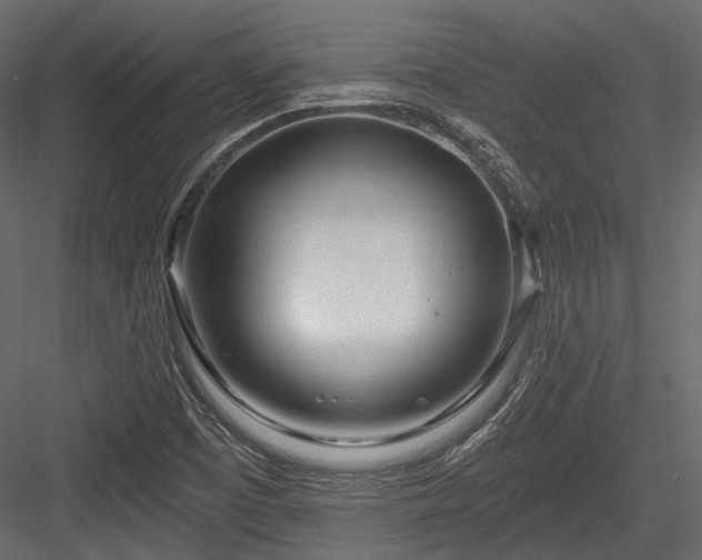 X0000084551457200702231152
