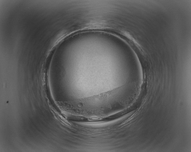 X0000084551459200702231152