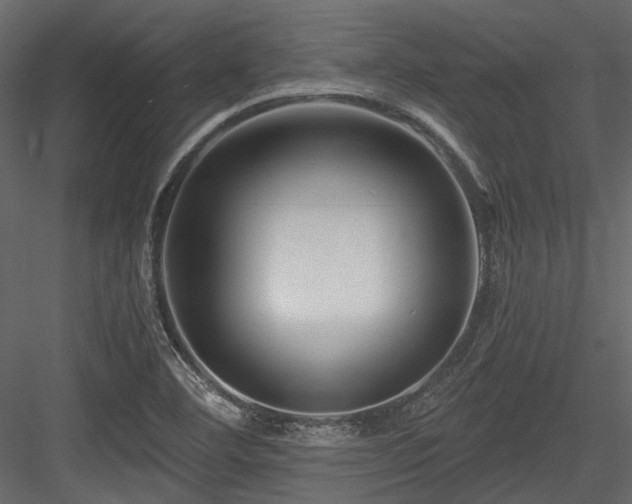 X0000084551460200702231152