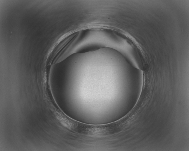 X0000084551461200702231152
