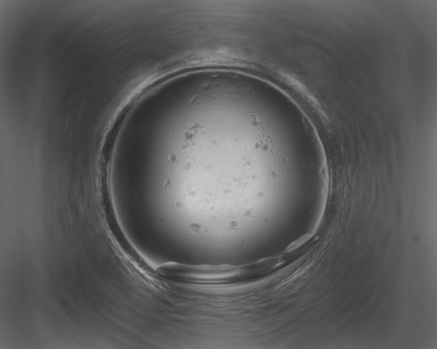 X0000084551463200702231151