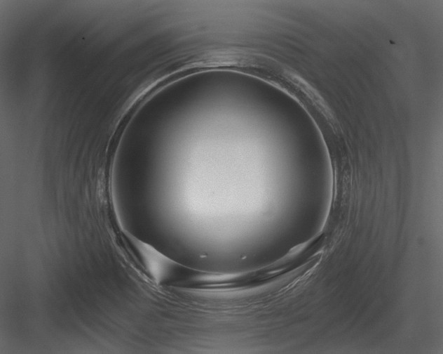 X0000084551465200702231151
