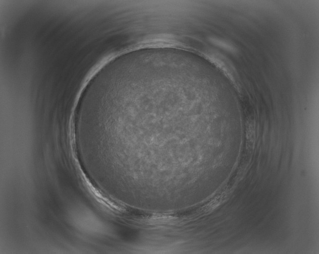X0000084551466200702231151