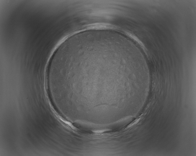 X0000084551467200702231151