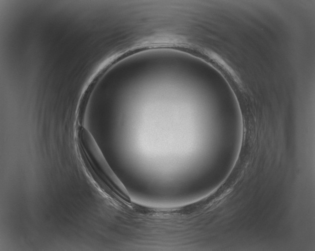 X0000084551469200702231151