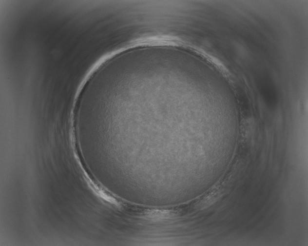 X0000084551470200702231151