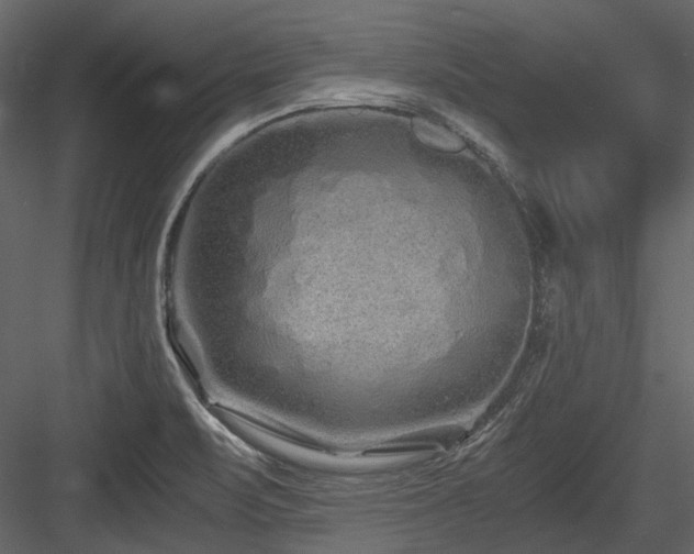 X0000084551471200702231151