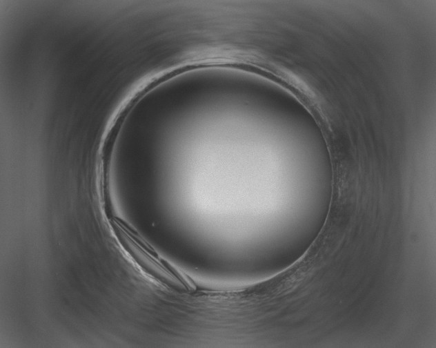 X0000084551472200702231151