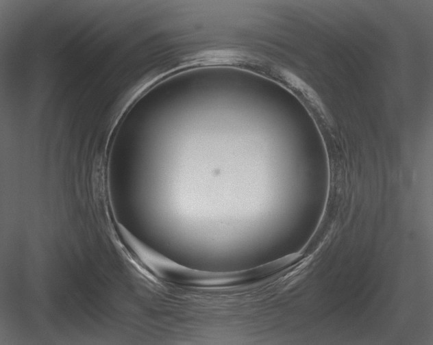 X0000084551473200702231151