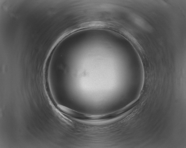 X0000084551475200702231151