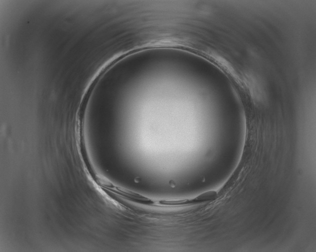 X0000084551476200702231151