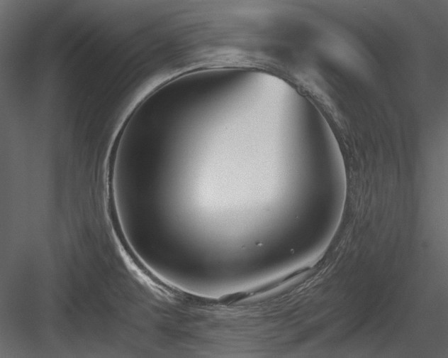 X0000084551479200702231151