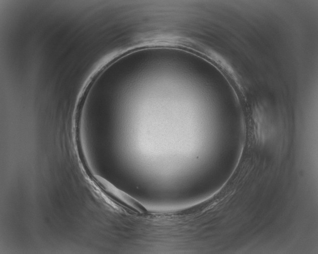 X0000084551480200702231151