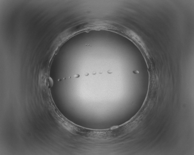 X0000084551481200702231151