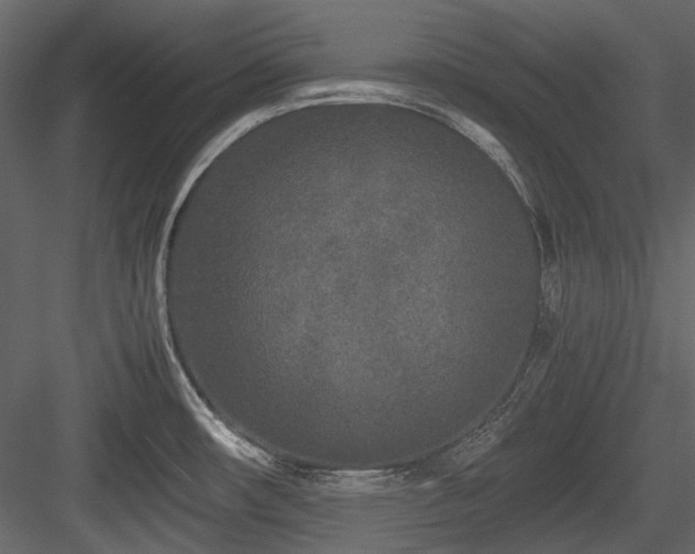 X0000084551482200702231151
