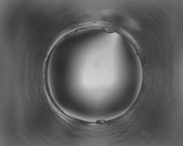 X0000084551483200702231151