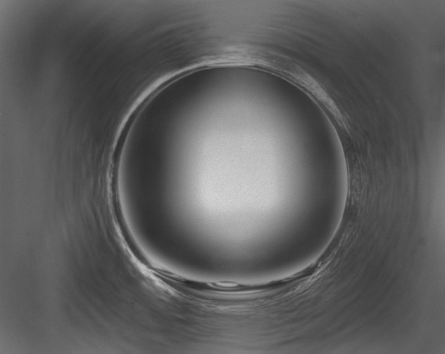 X0000084551484200702231151