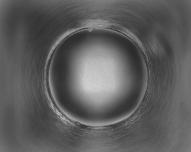 X0000084551488200702231151