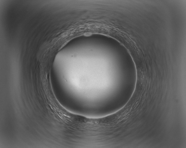 X0000084551489200702231150