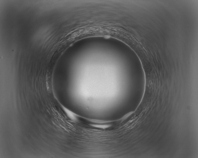 X0000084551490200702231150