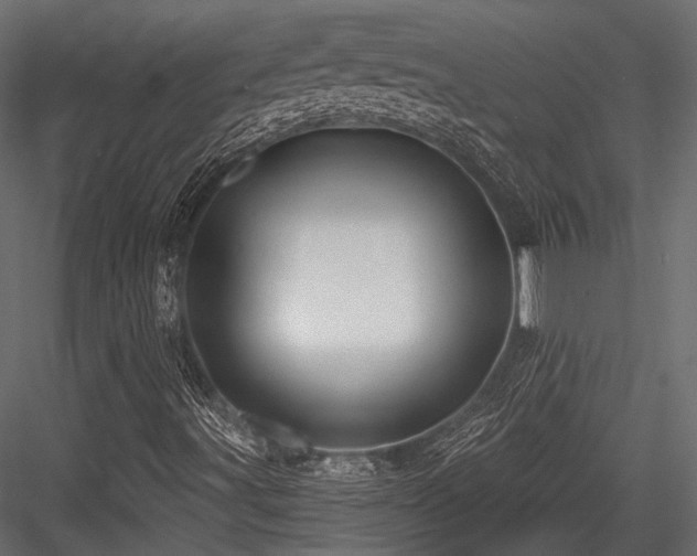 X0000084551491200702231150