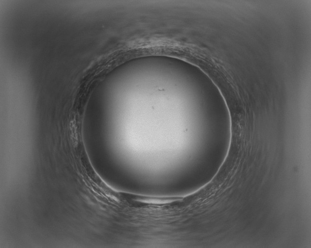 X0000084551493200702231150
