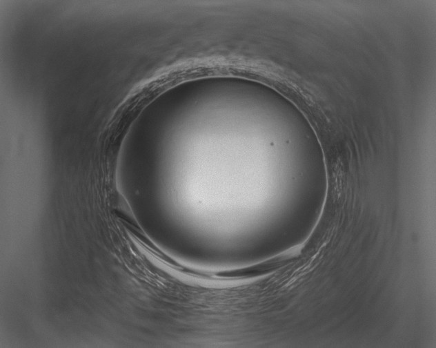 X0000084551494200702231150