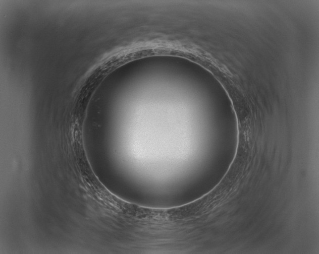 X0000084551495200702231150