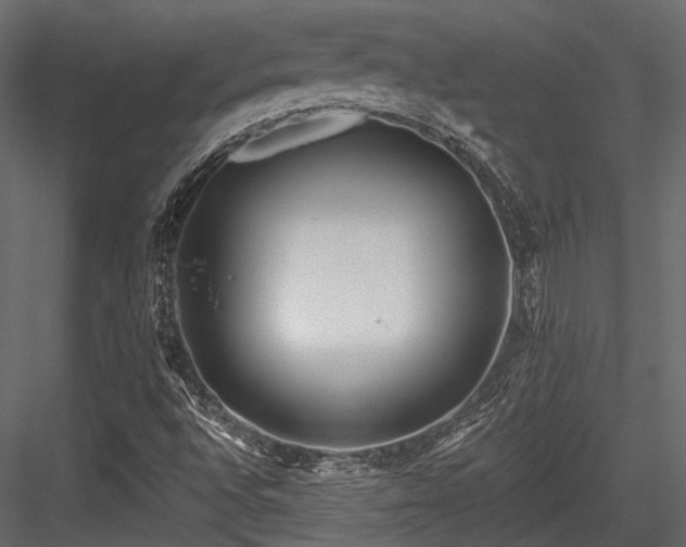 X0000084551496200702231150