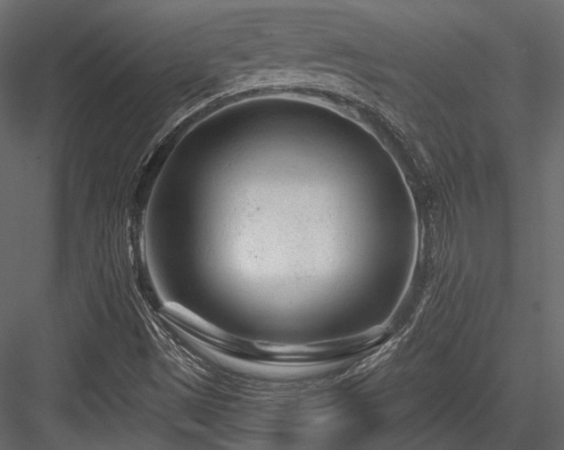 X0000084551497200702231150
