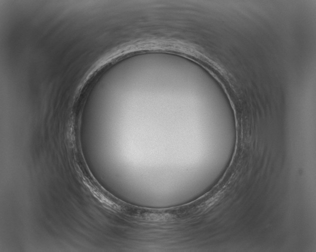 X0000084551498200702231150