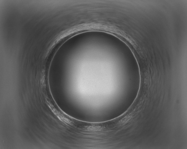 X0000084551499200702231150