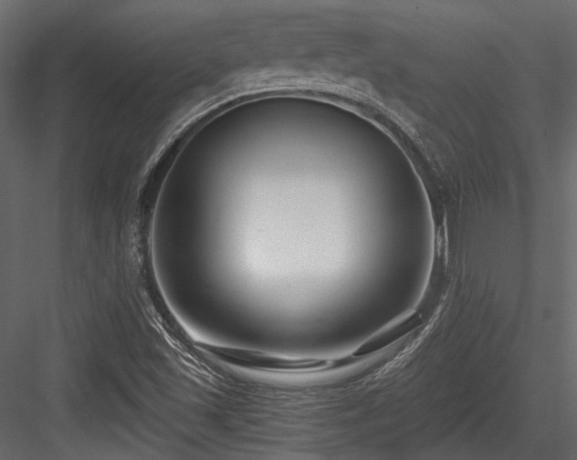 X0000084551501200702231150
