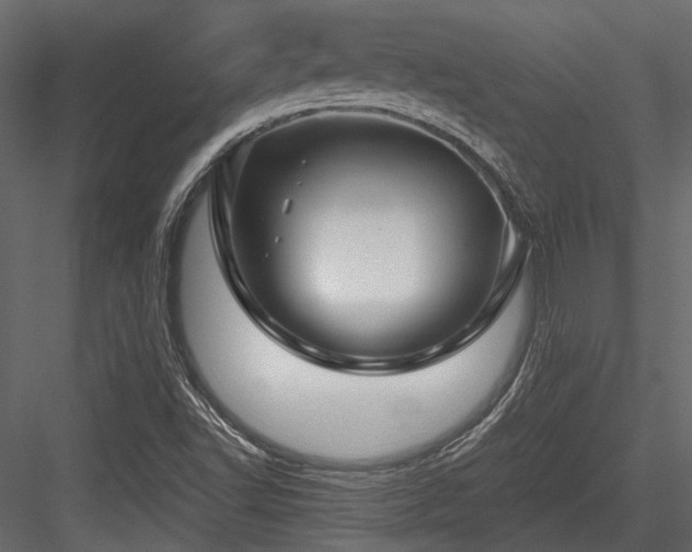 X0000084551502200702231150