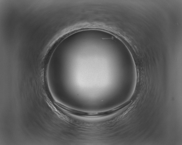 X0000084551503200702231150