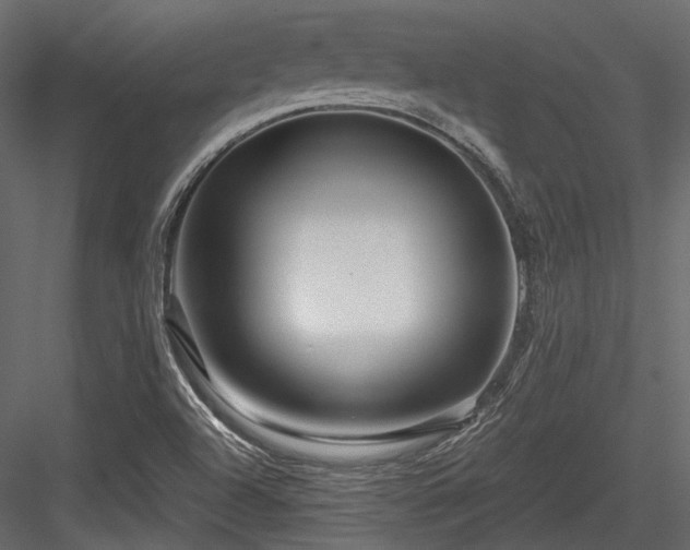 X0000084551504200702231150