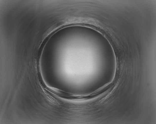 X0000084551505200702231150