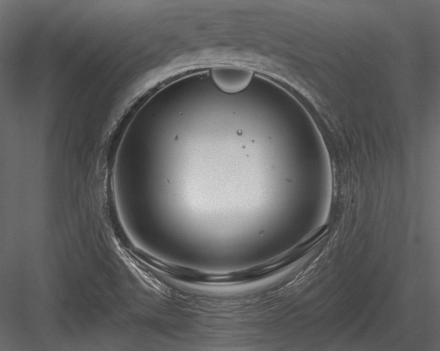 X0000084551507200702231151